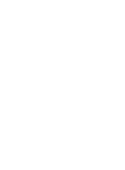 Ski Team Sweden